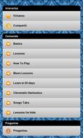 Learn to play the harmonica poster