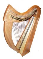 Learn to play the harp تصوير الشاشة 3