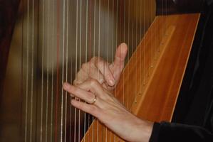 Learn to play the harp تصوير الشاشة 1