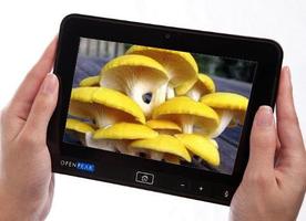 The Mushroom Book Free スクリーンショット 3