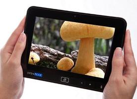 The Mushroom Book Free ポスター