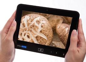 The Mushroom Book Free スクリーンショット 1