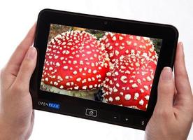 The Mushroom Book Free スクリーンショット 2