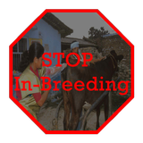 INAPH In-Breeding Check icon