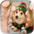 Cute Corgi King Launcher