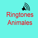 Ringtones de animales APK