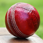 Cricket videos আইকন
