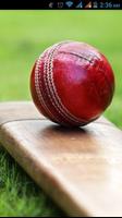 Cricket videos bài đăng