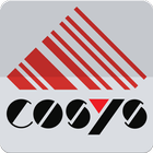 Icona Goods Receipt COSYS