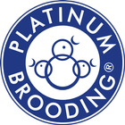 ikon Platinum Brooding