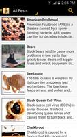 Bee Health poster