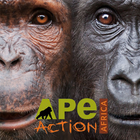 Ape Action Africa-icoon