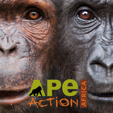 Ape Action Africa simgesi