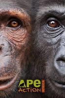 Ape Action Africa Affiche