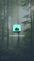 Forest Sounds Affiche
