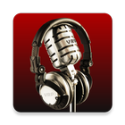 آیکون‌ Voice Record Pro