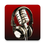 Voice Record Pro icon