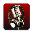 Voice Record Pro icône
