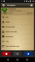 Voice Record Pro captura de pantalla 2