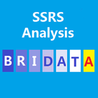 SSRS 报表运行分析 icon