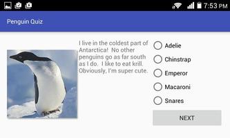 Penguin Quiz 海报
