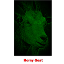 Horny Goat aplikacja