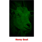 Horny Goat icon