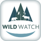 Wild Watch icône