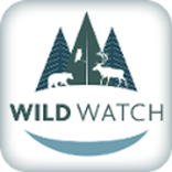 Wild Watch
