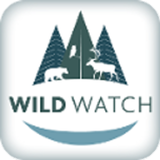 Wild Watch icône