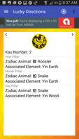 Lucky Directions Screenshot 2