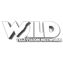 Wild TV-APK