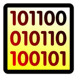 CCNA Binary Exercise