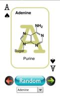 BioChem Euchre Deck capture d'écran 1