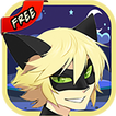 😼 Cat Noir Hero