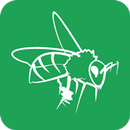 AppICOLA APK