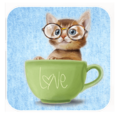 Cute Baby Cat icon