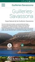 Guilleries-Savassona Affiche