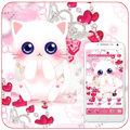 Roly Poly Cats Wallpaper