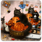 Kitty Pumpkin Theme-icoon