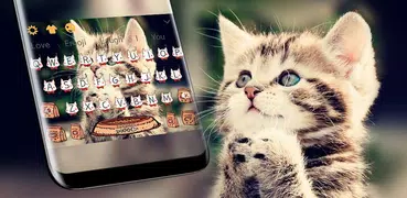 Cat Keyboard Cute Kitten Theme