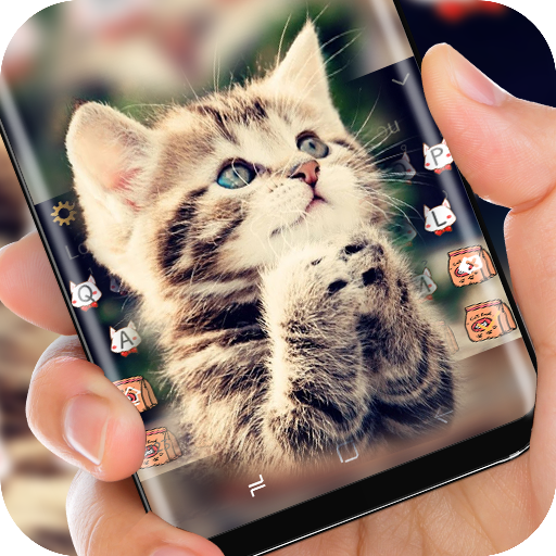 Cat Keyboard Cute Kitten Theme
