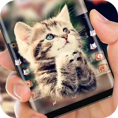 Baixar Tema de gato gatinho bonito APK