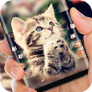 Cat Keyboard Cute Kitten Theme APK