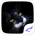 Black Kitty Golden Icons