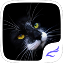 Black Kitty Golden Icons aplikacja