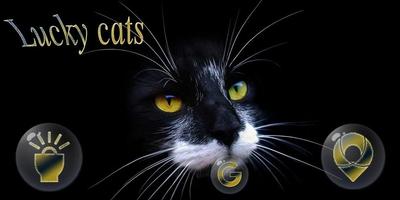 Black Kitty Golden Icons تصوير الشاشة 3