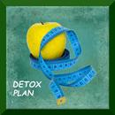 Detox body cleanse plan APK