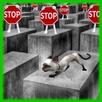 Cat trap free game APK