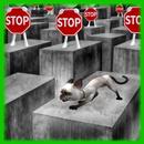 APK Gioco gratuito cat-trappola